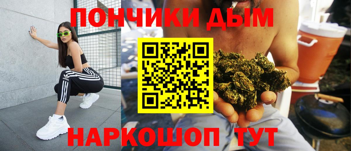Кимры  Конопля план  Бошки марихуана White Widow  Канабис семена  Вход с VPN 